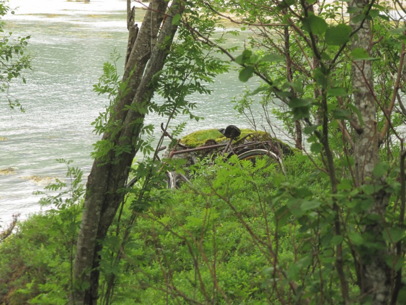 Bilder vom Campingplatz Kjellingstraumen 1