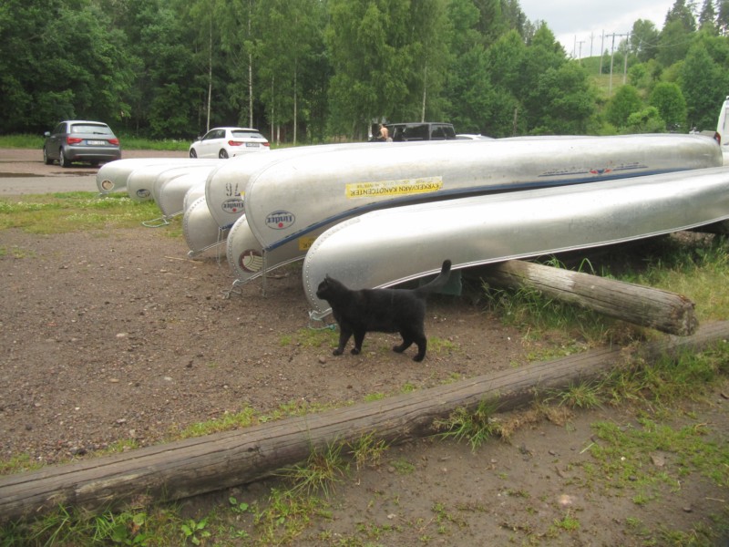 Bilder vom Campingplatz Kyrkekvarn 1