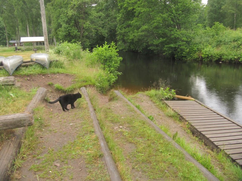 Bilder vom Campingplatz Kyrkekvarn 1