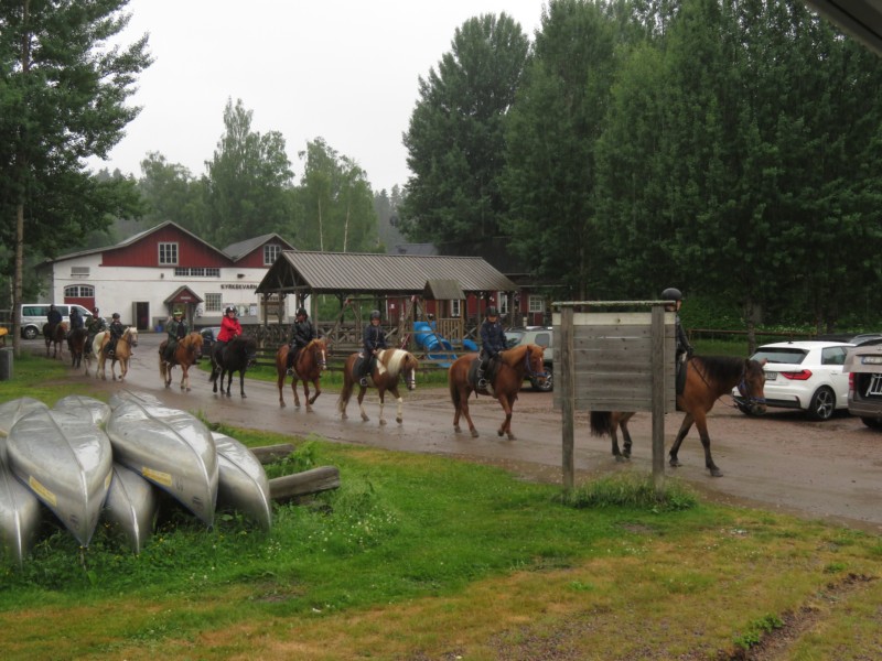 Bilder vom Campingplatz Kyrkekvarn 1