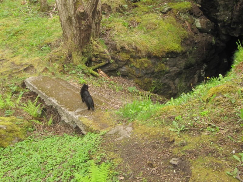 Lagerhöhle 3