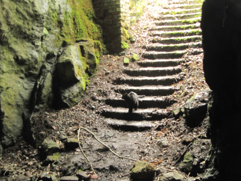 Lagerhöhle 4