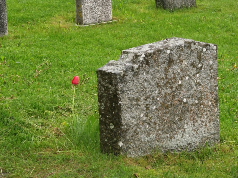 Bilder aus Ornes mit Stabkirche 1