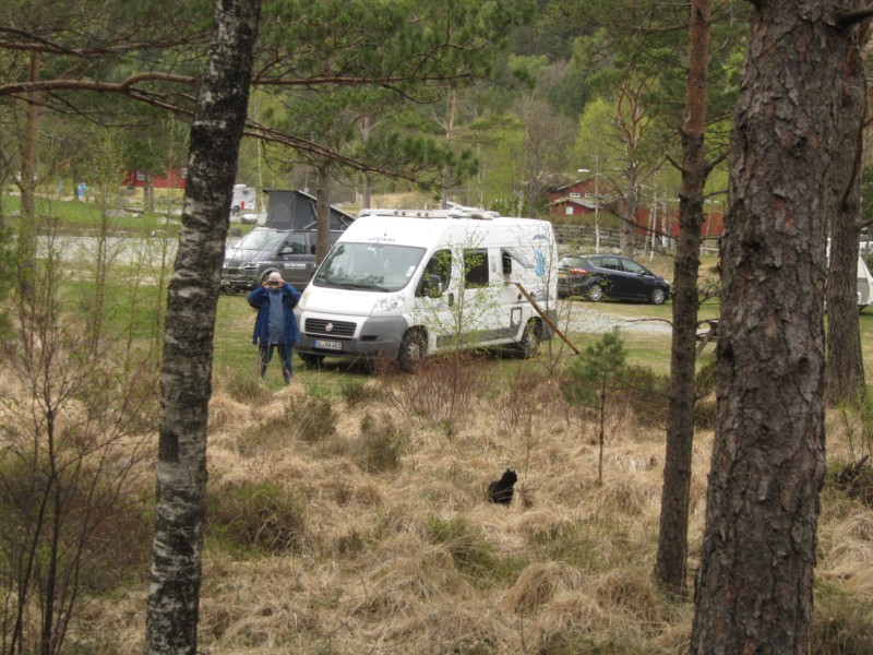 Bildervom Campingplatz Preikestolen