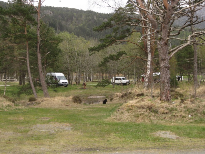 Spaziergang mit 2 Katern