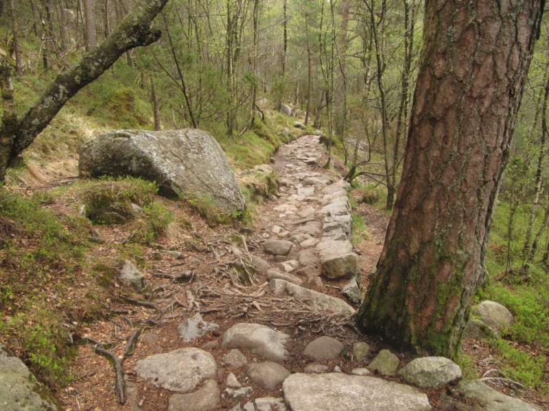 Wanderung zum Preikestolen 6