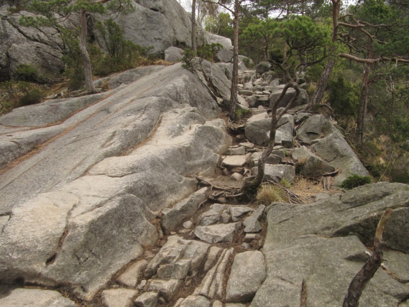 Wanderung zum Preikestolen 7