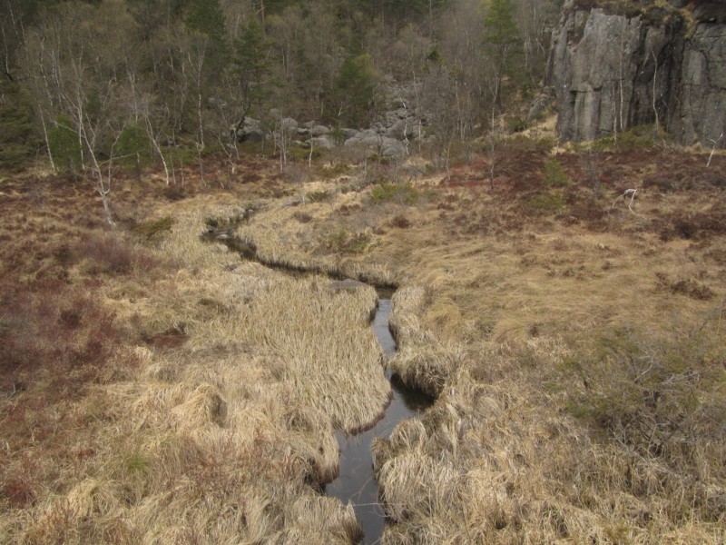 Wanderung zum Preikestolen 10