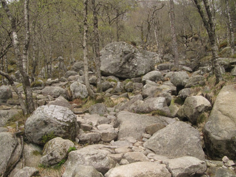 Wanderung zum Preikestolen 11