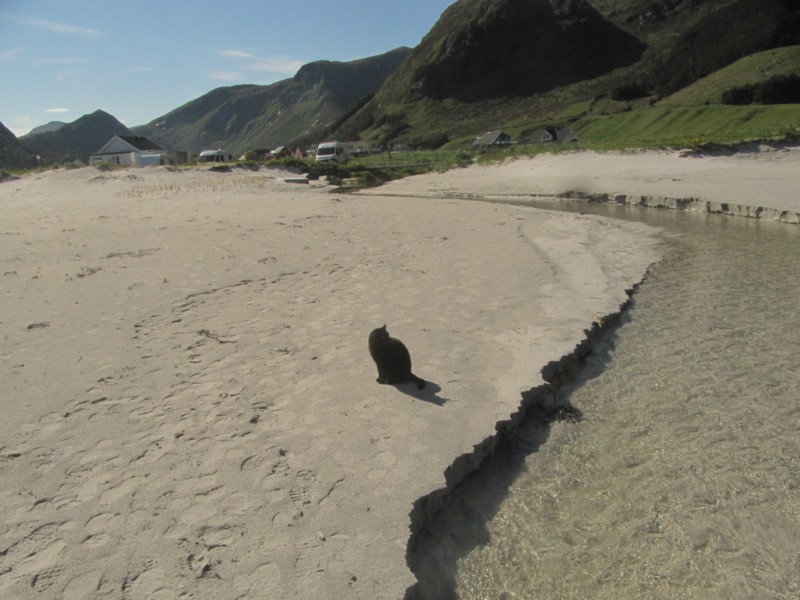 Bilder vom Campingplatz Refvik 11