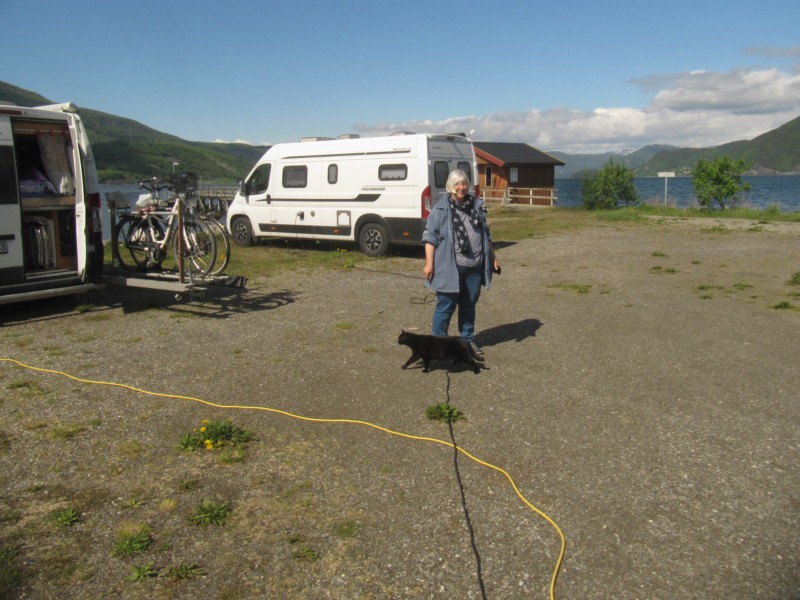 BIlder vom Campingplatz Rognan 2