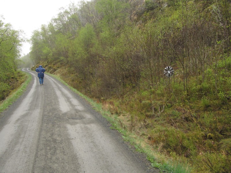 Am Ruggesteinen von Hauge 5