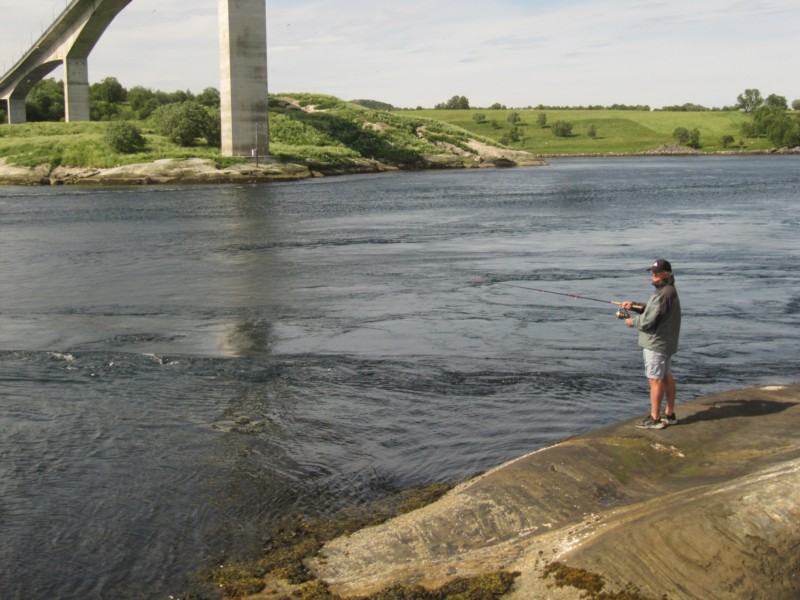 Bilder vom Saltstraumen 7