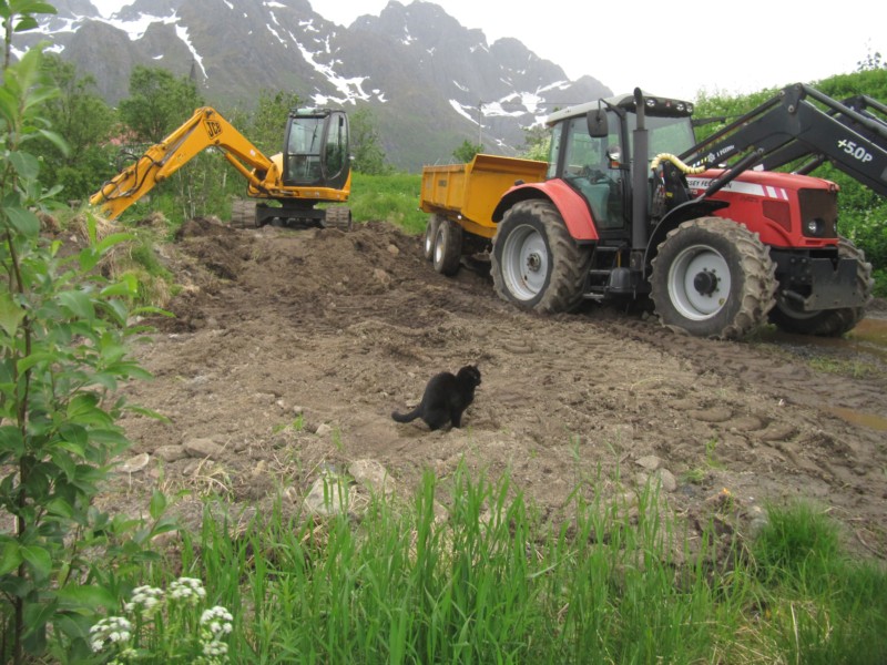 Bilder vom Campingplatz Sildpollnes 5