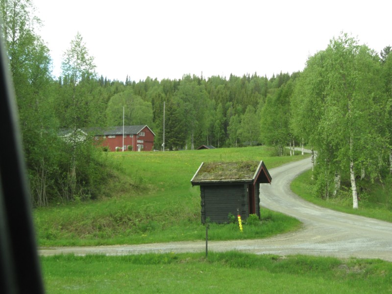 Ex-Campingplatz Skogly 2