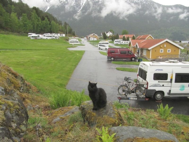 Campingplätze am Sognefjord 1