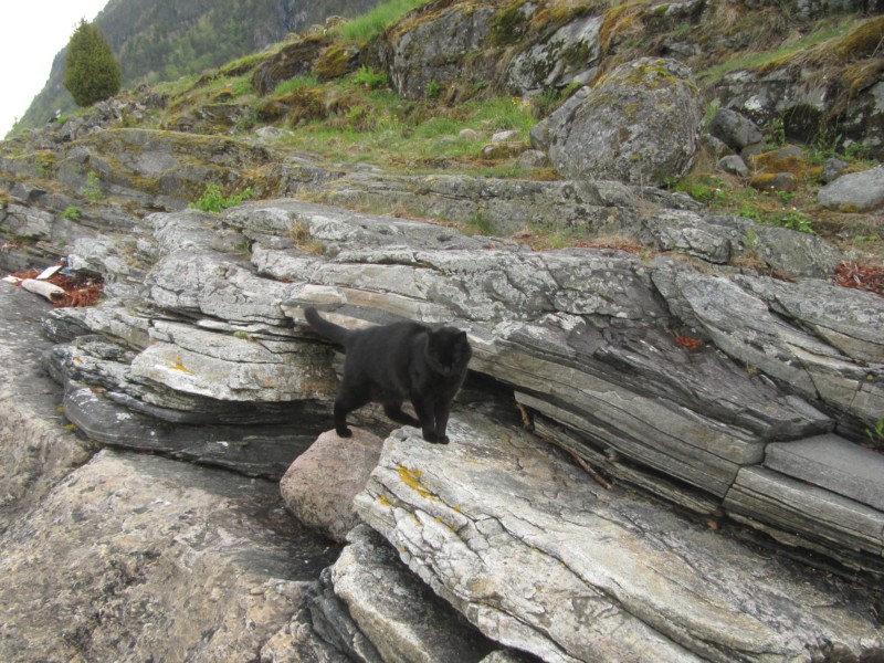 Bernstein in den Felsen 1