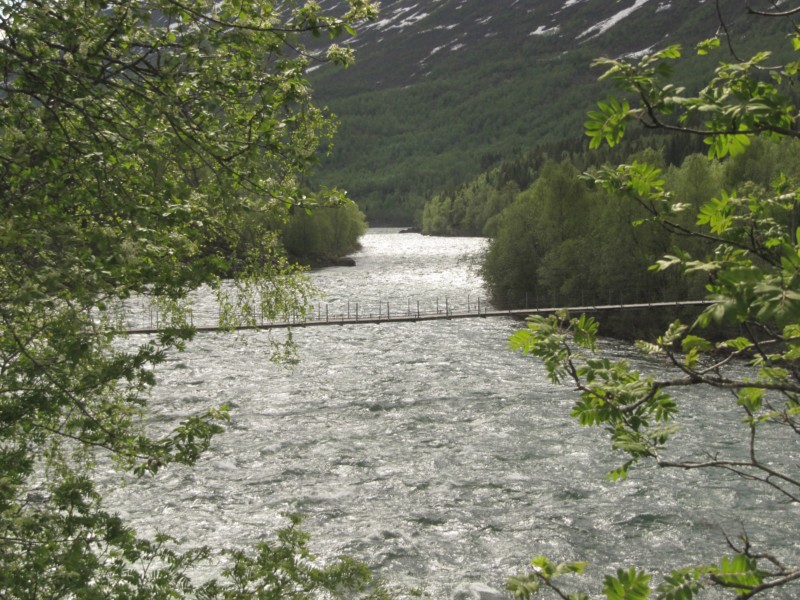 Storvoll Hängebrücke 2