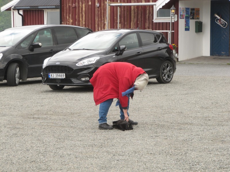 Bilder vom Campingplatz Toften 10