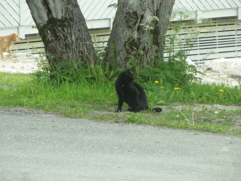 Bilder vom Besuch des Torghatten 1