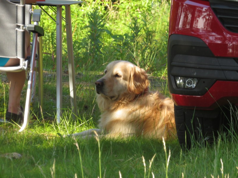 Bilder vom Campingplatz Ulvsvag 12