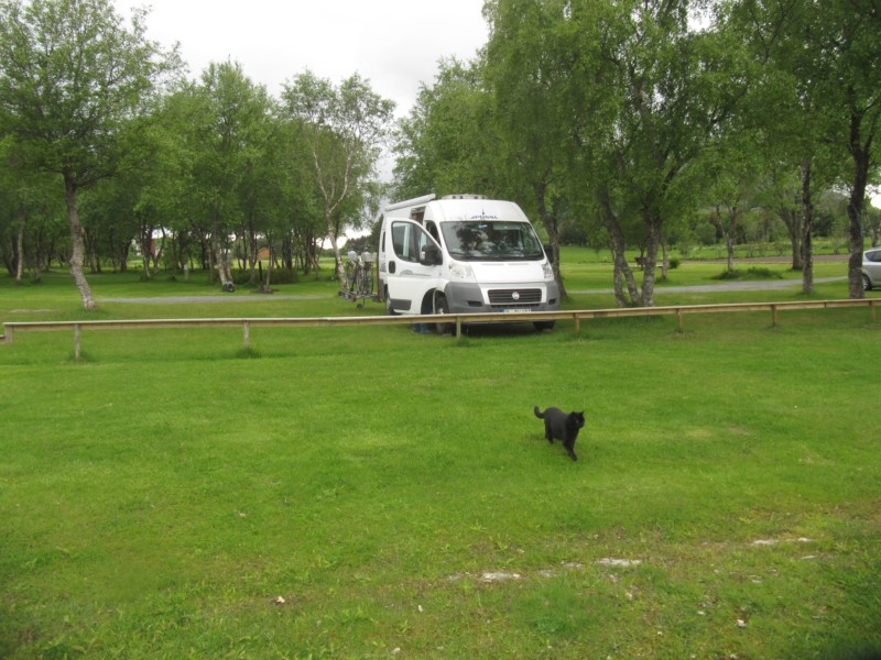 Bilder vom Campingplatz Vega 1