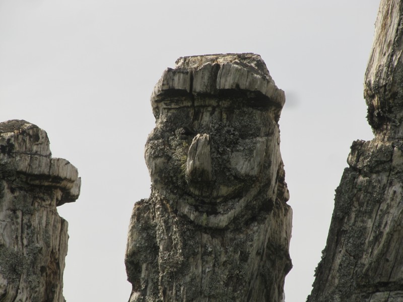 Bilder vom Vestkapp auf Stadtlandet 5