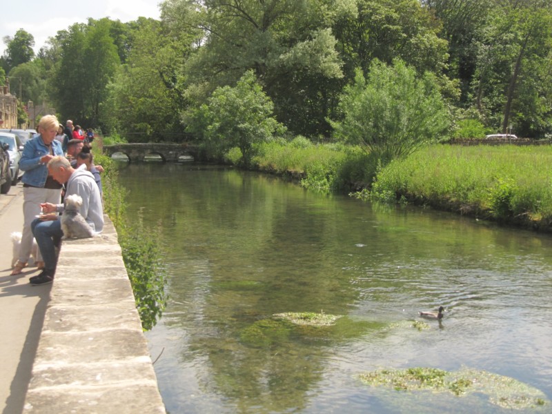 Bilder aus dem Dorf Bibury 16