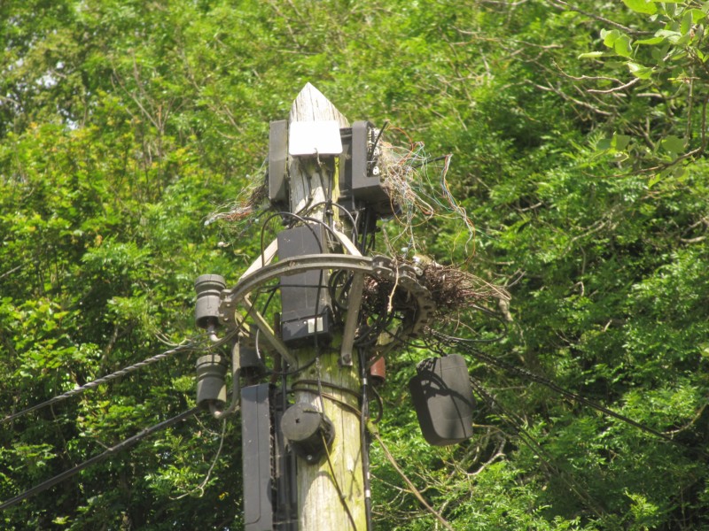 Bilder aus dem Dorf Bibury 4