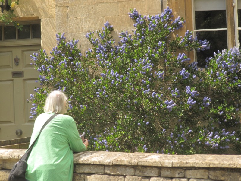 Bilder aus dem Dorf Bibury 9