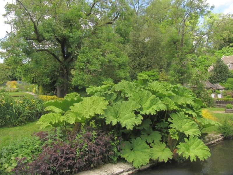 Bilder aus dem Dorf Bibury 13