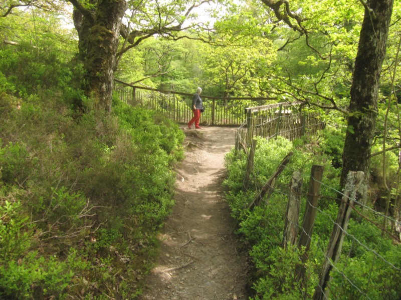 Conwy Falls 3