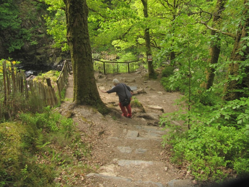 Conwy Falls 7