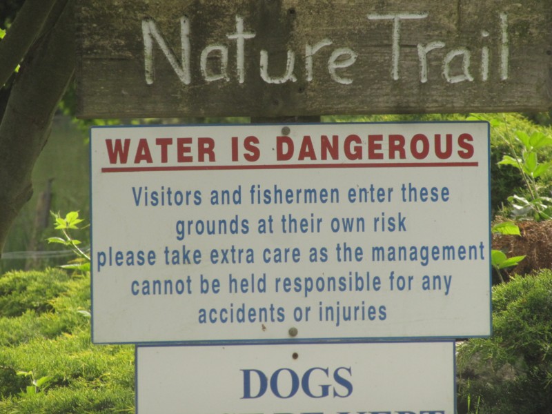 Conwy Water Gardens 2