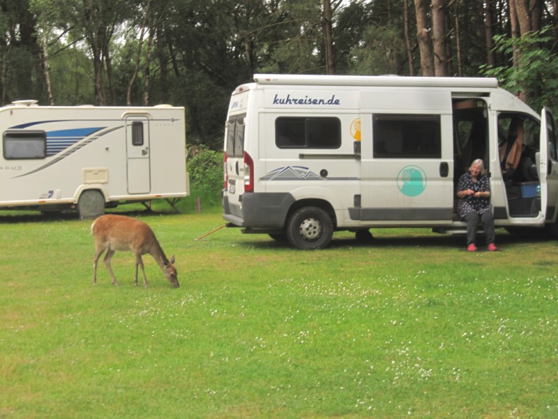 Bilder vom Campingplatz Crossways 2