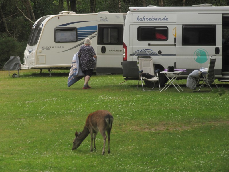 Bilder vom Campingplatz Crossways 8