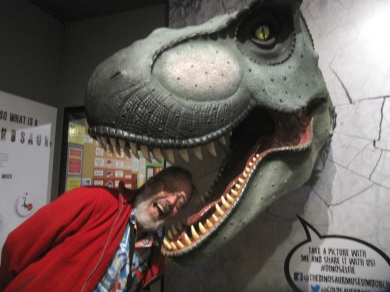 Dinosauriermuseum Dorchester 3