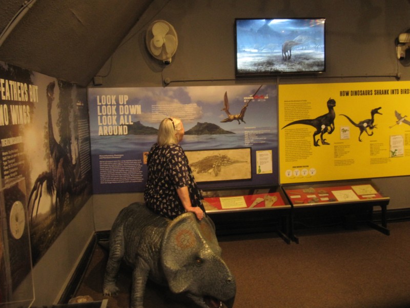 Dinosauriermuseum Dorchester 8