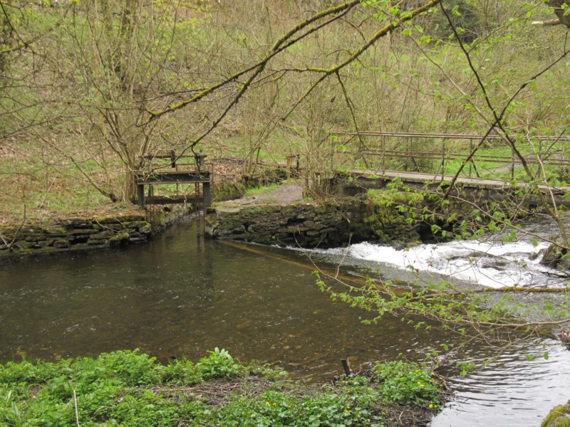 Spaziergang Alte Schmiede 2