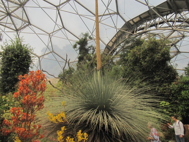 Eden Project Mittelmeer 12