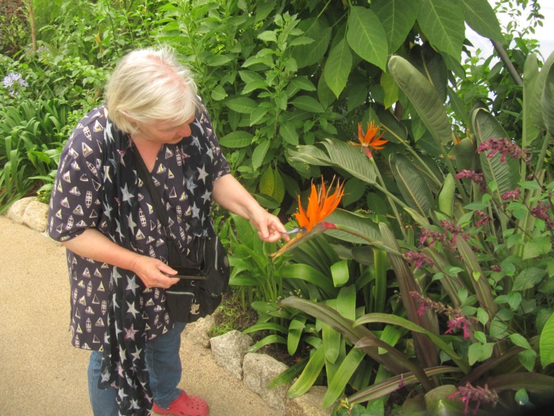 Eden Project Mittelmeer 16