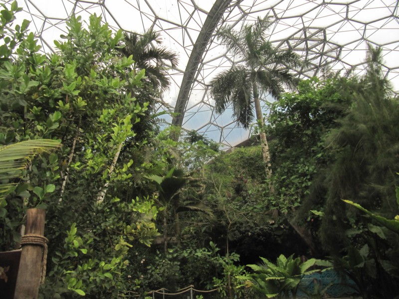 Eden Project Regenwald 6