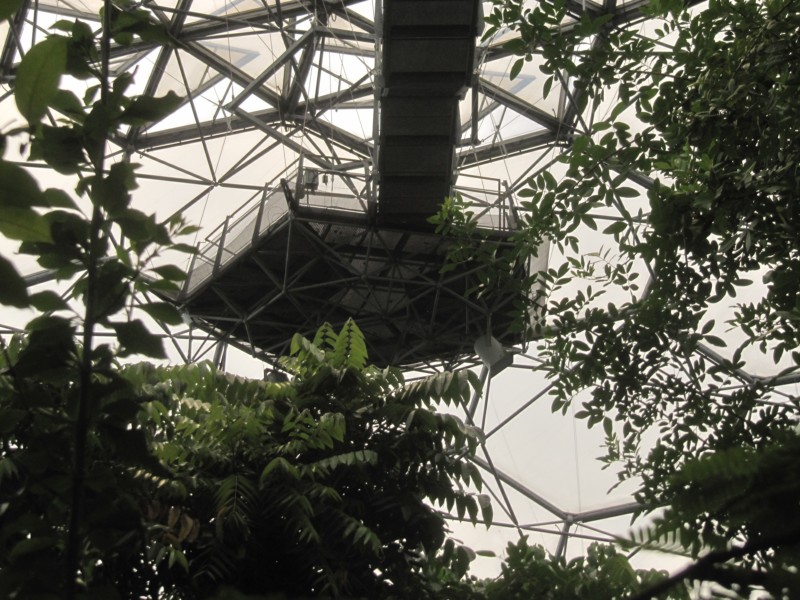 Eden Project Regenwald 20