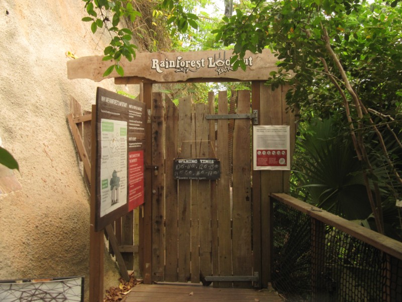 Eden Project Regenwald 19