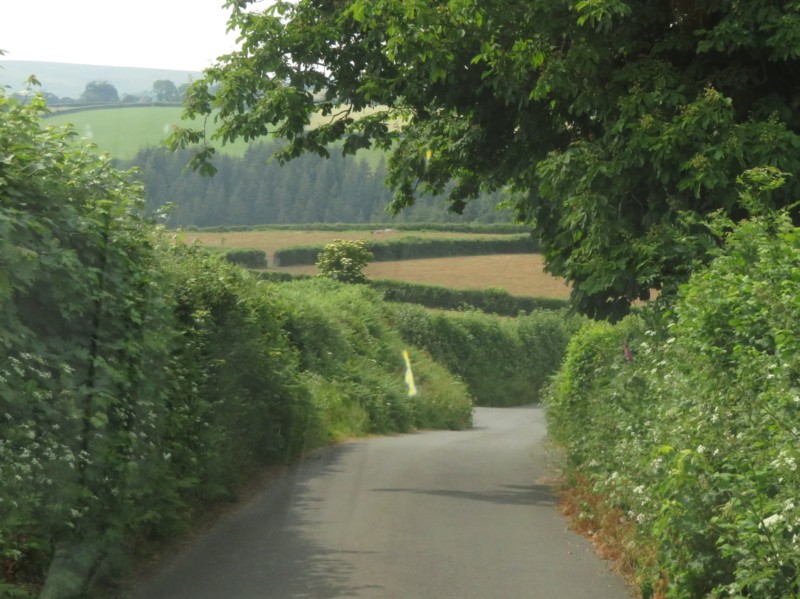 Fahrt nach River Dart 1