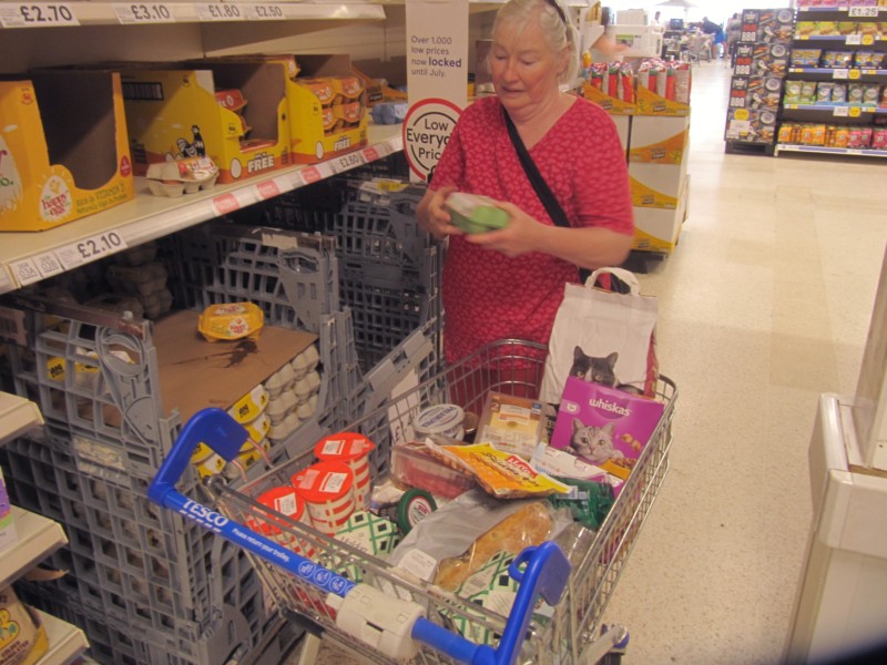 Einkaufen bei Tesco 1