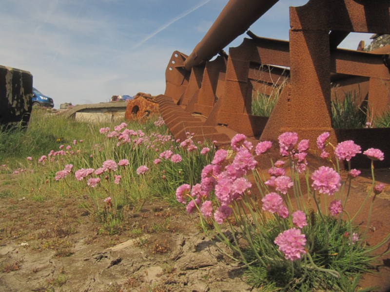 Besuch der langen Mole Holyhead 13