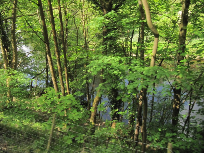 Fahrt mit der Llangollen-Railway 9