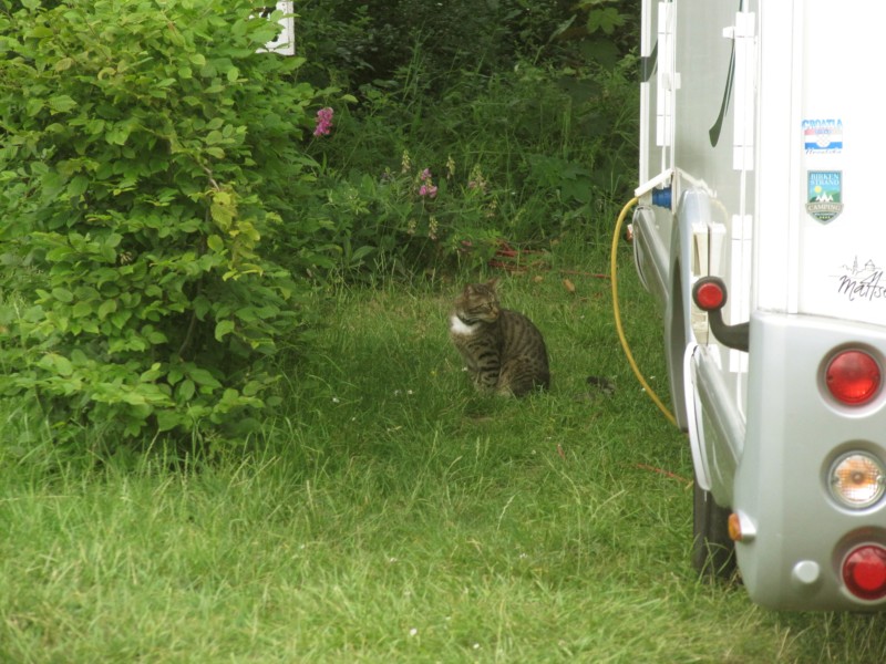 Bilder vom Campingplatz Möhnesee 5