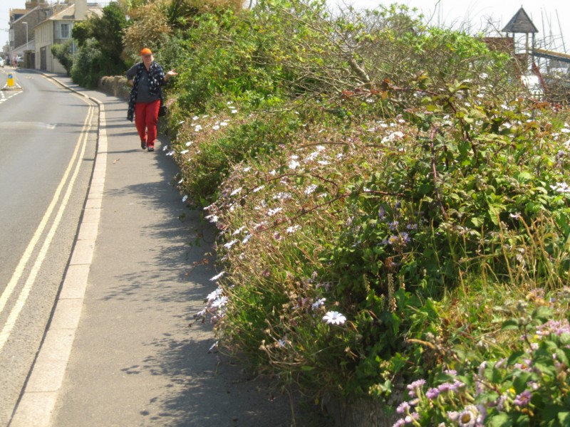 St Michaels Mount 20